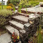 Belvedere Cork