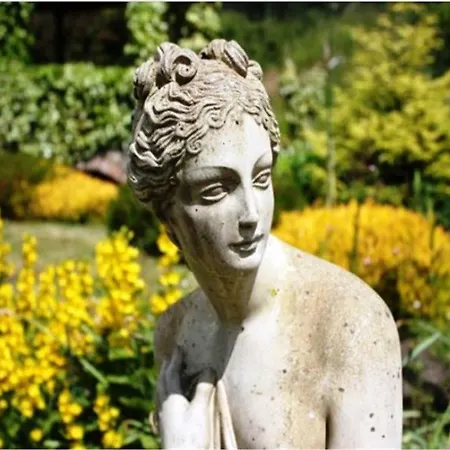 Belvedere Cork