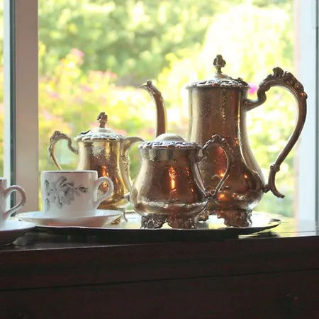 观景台小屋酒店 科克