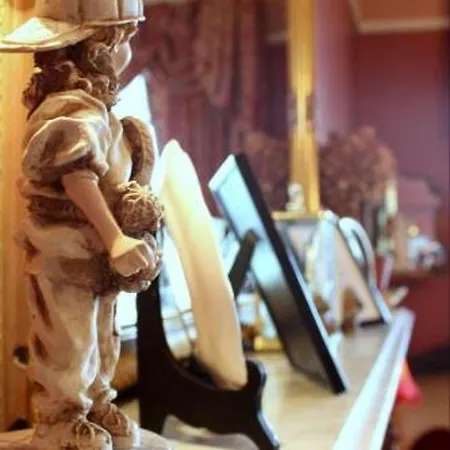 Casa de hóspedes Belvedere Cork