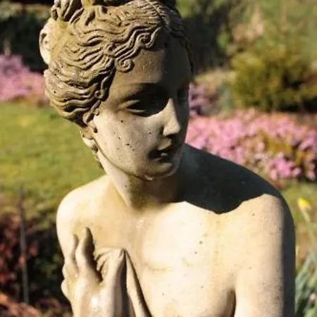 Belvedere كورك