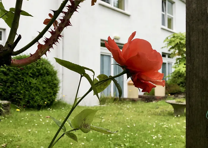 Belvedere Гостевой дом Корк