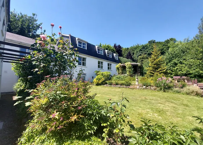 Belvedere 4* Корк