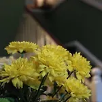 ベルヴェデーレ