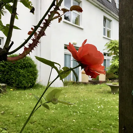 Belvedere Vendégház Cork