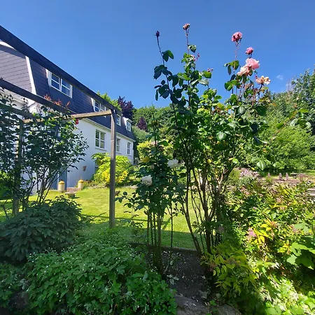 Konukevi Belvedere Cork